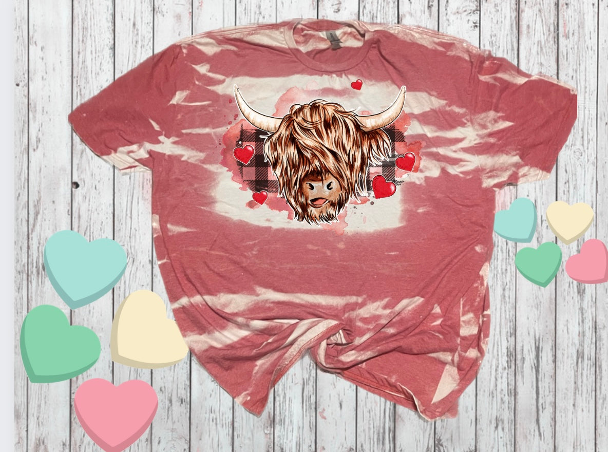 Highland Cow Love