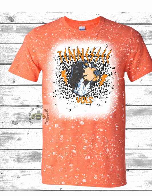 VOLS Smokey